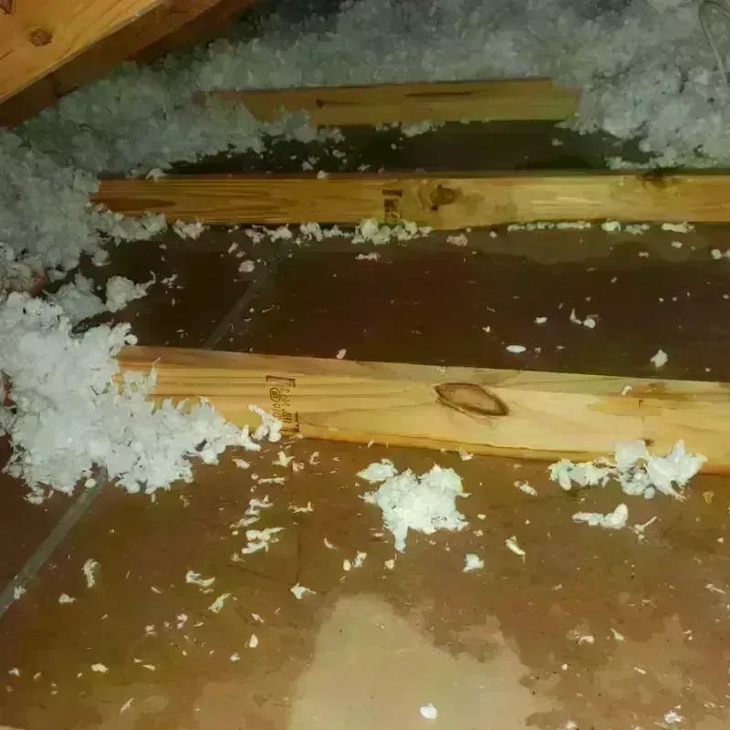 Attic Water Damage in Jonesville, NC